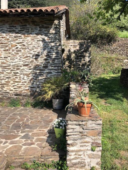 Maison rurale au cœur des Cévennes Ardéchoises Dompnac Extérieur photo